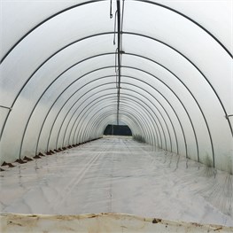 FILM PE LONG LIFE 0,20 MT. 10 X 40  BOBINA